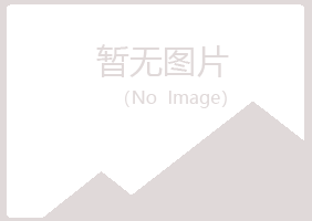 郾城区夏岚美容有限公司